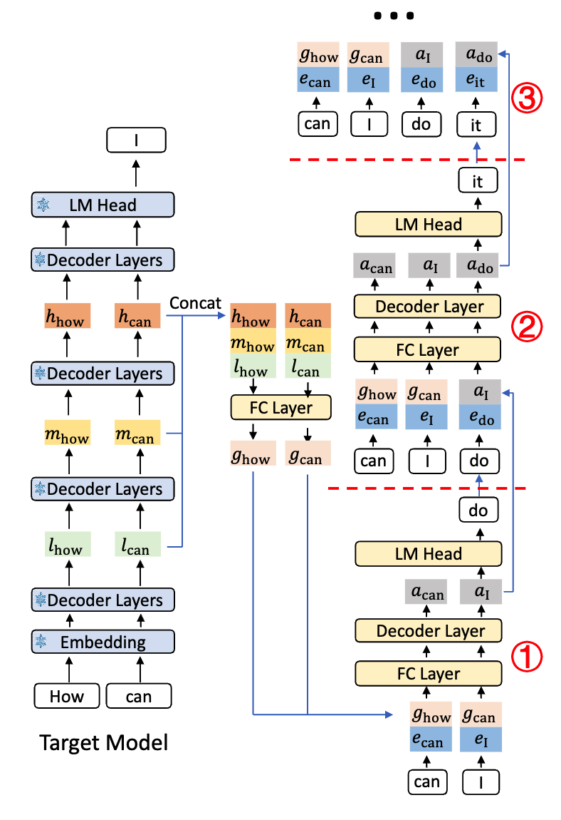 EAGLE-3 推理 pipeline：target model 提取低/中/高三层 feature 融合为 g，draft model 通过 FC + Decoder Layer 自回归预测，每步用自己的输出 a 替代真实 feature